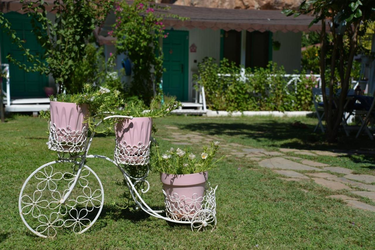 Narcicegi Hotel Çıralı Buitenkant foto