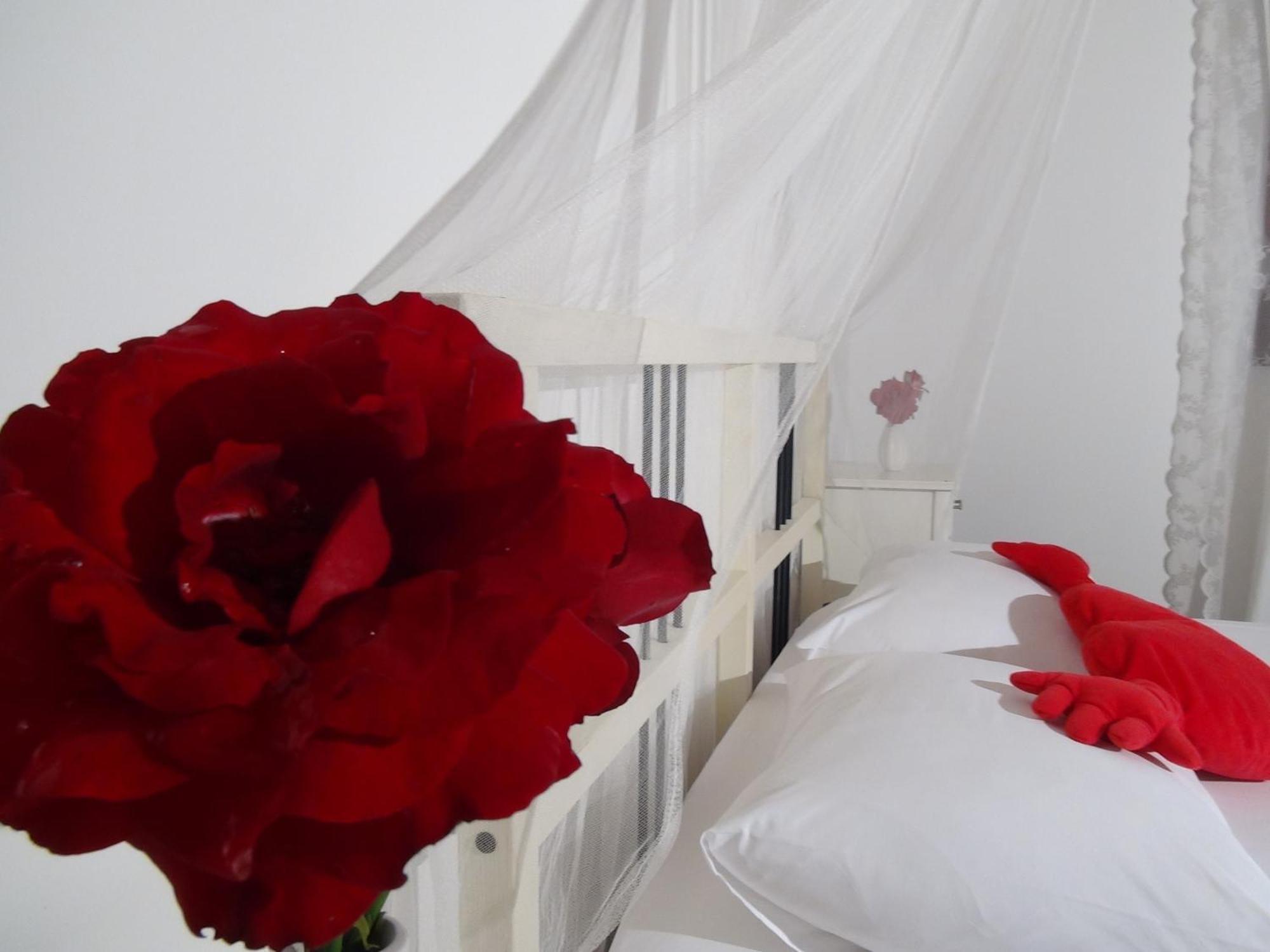 Narcicegi Hotel Çıralı Buitenkant foto